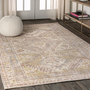 Darija Ornate Geometric Medallion Area Rug